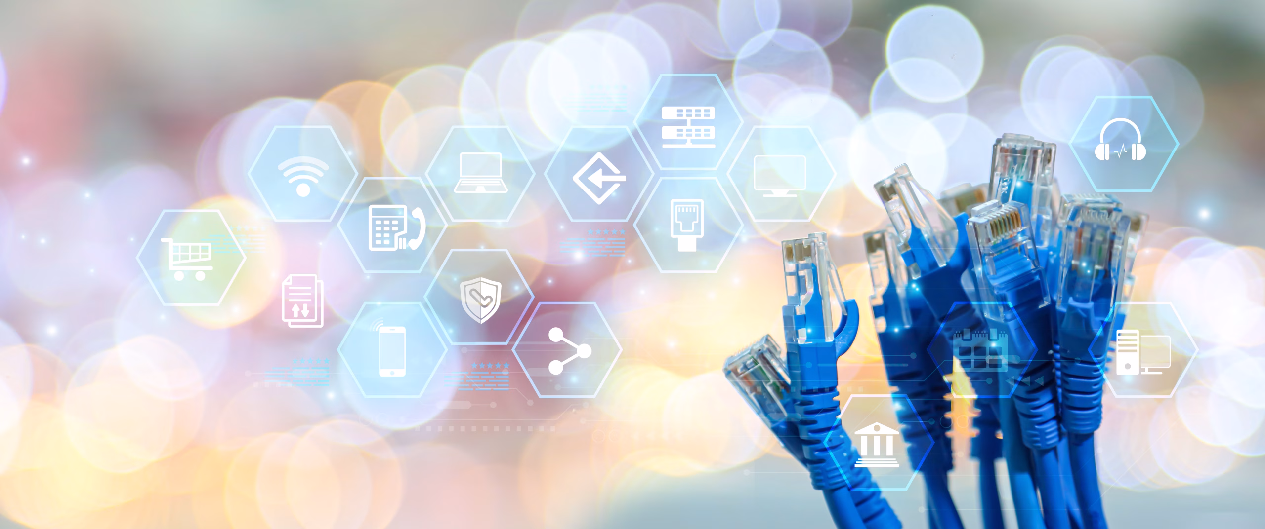 Low Voltage & Data Infrastructure